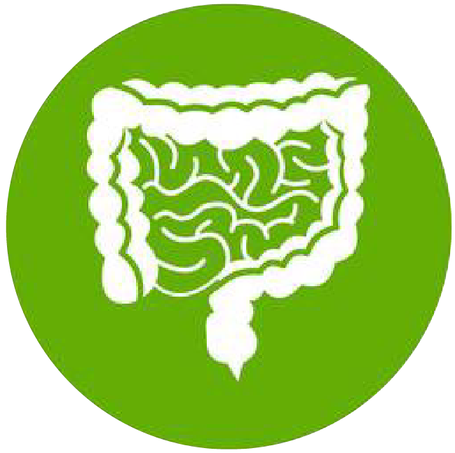 關(guān)注職場(chǎng)“腸”態(tài)，守護(hù)員工健康——上海格瑞特特邀消化內(nèi)科專(zhuān)家公益系列講座（4）(圖1)