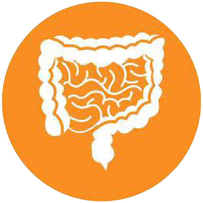 關(guān)注職場(chǎng)“腸”態(tài)，守護(hù)員工健康——上海格瑞特特邀消化內(nèi)科專(zhuān)家公益系列講座（4）(圖4)